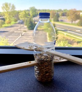 DIY craft with plastic water bottles bird feeder